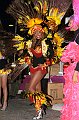 Carnevale 2010 FB (88)